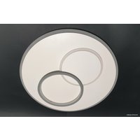 Припотолочная люстра Lusster SL 1259/500