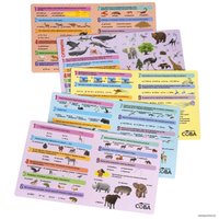 Детская настольная игра Bondibon Увлекательный мир животных и природы ВВ5551