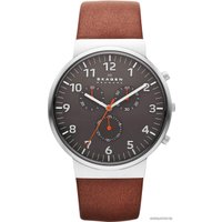 Наручные часы Skagen SKW6099