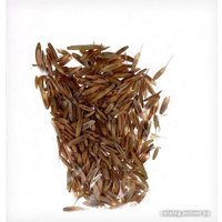 Набор для опытов Эврики Твоя экоферма 2 в 1 9279944