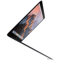 Ноутбук Apple MacBook (2017 год) [MNYF2]