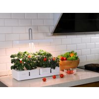 Умный сад CACTUS CS-LEDPOT-08