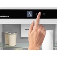 Холодильник Liebherr ICBNSd 5623 Plus BioFresh NoFrost