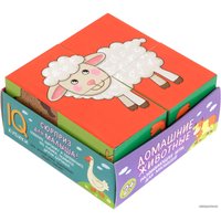 Кубики Айрис-Пресс Умные кубики в поддончике. Домашние животные 9785811280681