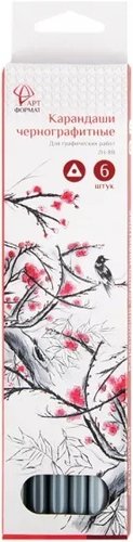 Набор простых карандашей АртФормат AF03-011-06