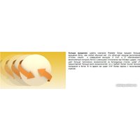 Шафт для кия Predator 314³ Uni-Loc Silver Ring 11027