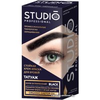 Краска для бровей Studio Professional с эффектом татуажа (экстра-черный)