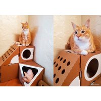 Комплекс ДОМиКОТ Мегапак для кошек из картона