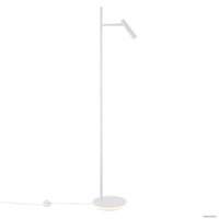 Торшер Maytoni Estudo Z010FL-L8W3K