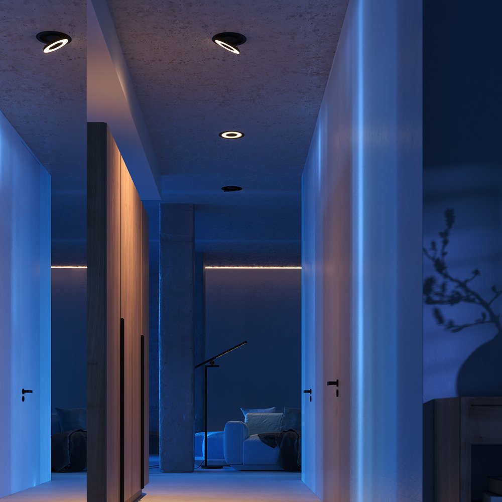 

Точечный светильник Technical DL102-12W3K-B