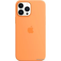 Чехол для телефона Apple MagSafe Silicone Case для iPhone 13 Pro Max (весенняя мимоза)