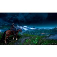  Ведьмак 3: Дикая Охота. Коллекционное издание для PlayStation 4