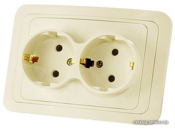 Розетка TDM Electric Валдай SQ1804-0110