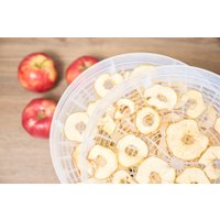 Сушилка для овощей и фруктов Zelmer ZFD2020