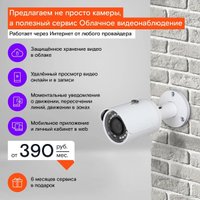 IP-камера Ростелеком IPC-HFW1230SP в Бресте