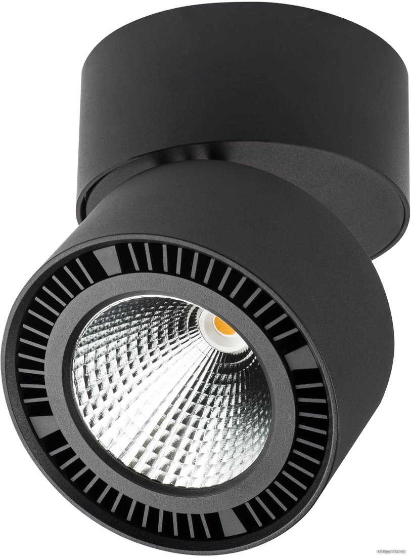 Спот Lightstar Forte Muro 213857