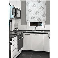 Рулонные шторы Delfa Сантайм Глория СРШ-01М 2910 (115x170, белый/серебристый)