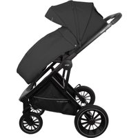 Универсальная коляска Indigo Desire (2 в 1, черный)