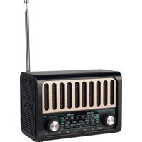 Радиоприемник Ritmix RPR-020