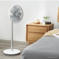 Вентилятор SmartMi Standing Fan 2S ZLBPLDS03ZM (международная версия)