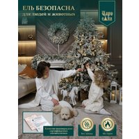 Ель Царь Елка Раскидистая премиум заснеженная РДП/ЗСНЖ-240