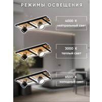 Люстра средней высоты Aitin Pro D6591/2+2 (черный/дерево)