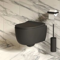 Сиденье для унитаза Ambassador Abner 102T20201S (черный матовый)