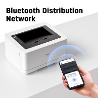 Принтер Deli P2000DNWs