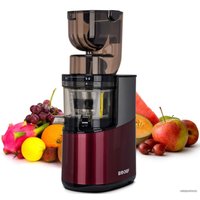 Соковыжималка Biochef Atlas Pro Whole Slow Juicer DCWA400 (красный)