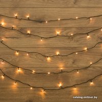 Светодиодная гирлянда Neon-Night 304-116 (теплый белый)