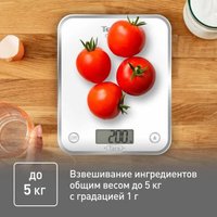 Кухонные весы Tefal BC5000V2