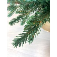 Ель GreenTerra Ноэлла 0.9 м