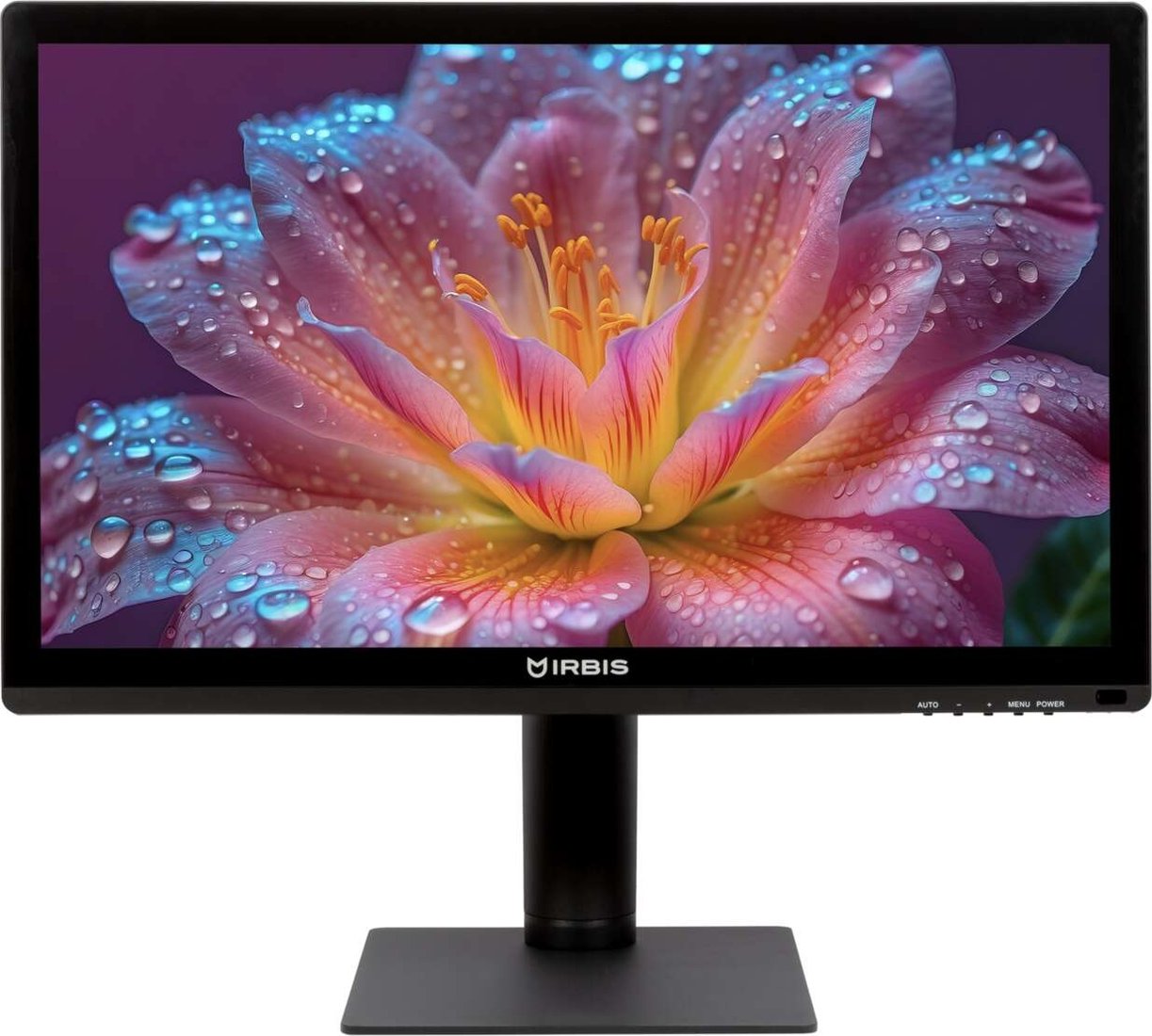 

Монитор IRBIS SmartView ISM24FIDT