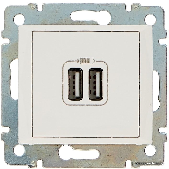 Розетка USB Legrand Valena 694370