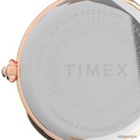 Наручные часы Timex TW2V24600