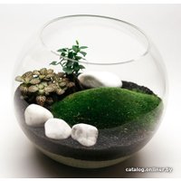 Флорариум Home Garden Шар