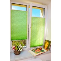 Плиссе Delfa Samoa СПШ-332 (57x160, салатовый)