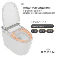 Унитаз приставной Roxen Smart Turbo 670300-02