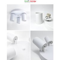 Припотолочная люстра TruEnergy 21491