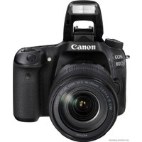 Зеркальный фотоаппарат Canon EOS 80D Kit 18-135mm IS USM