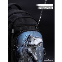 Школьный рюкзак SkyName R3-277 + брелок мячик