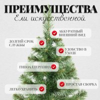 Пихта Erbis Jodla 90