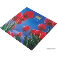 Напольные весы HomeStar HS-6001I