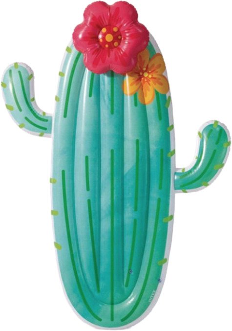 

Надувной матрас Intex Кактус 58793