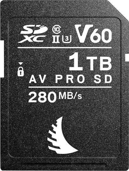 

Карта памяти Angelbird AV Pro SD MK2 1TB V60 AVP1T0SDMK2V60
