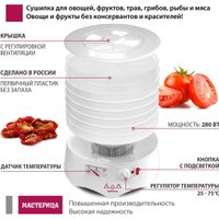 Сушилка для овощей и фруктов Мастерица EFD-0602VM (6 белых поддонов + 2 прозрачных поддона + поддон для пастилы)