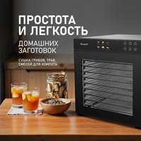 Сушилка для овощей и фруктов Weissgauff WDH 110 Digital Dry Pro