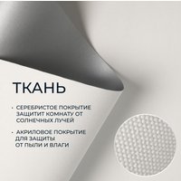 Рулонные шторы Franc Gardiner Blackout Silver 55x160 7799101 (белый)