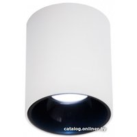 Точечный светильник Citilux Старк CL7440101