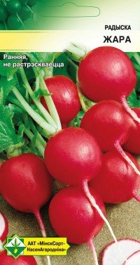 

Семена МинскСортСемОвощ Редис Жара 3 г